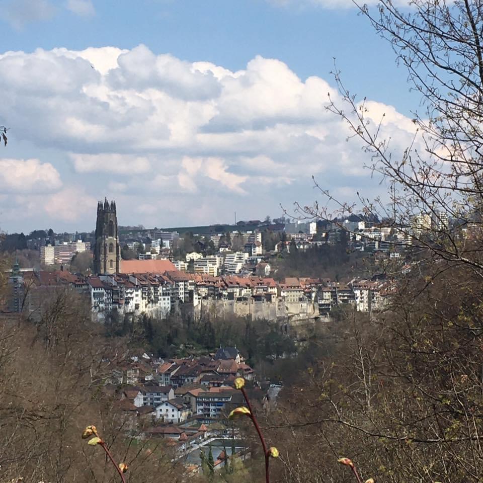 Les Falaises Cafe-Restaurant Fribourg-4